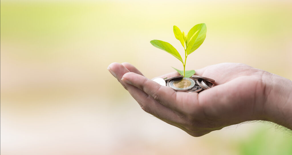 A coins with tree in people hands in saving and growing money co